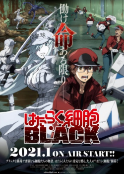 Hataraku Saibou Black (TV)